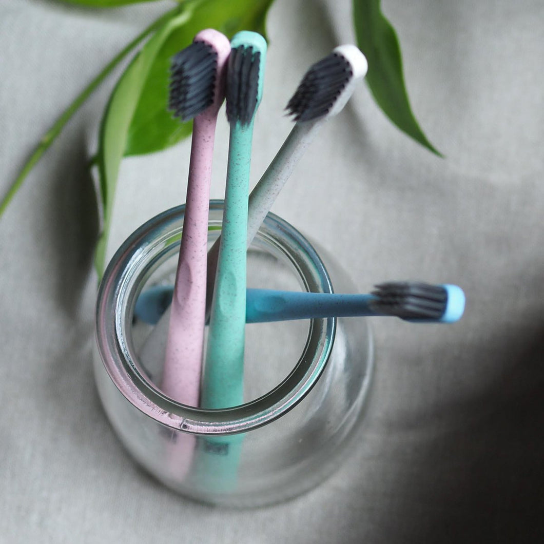 Wheat Straw Toothbrush (8-pack)